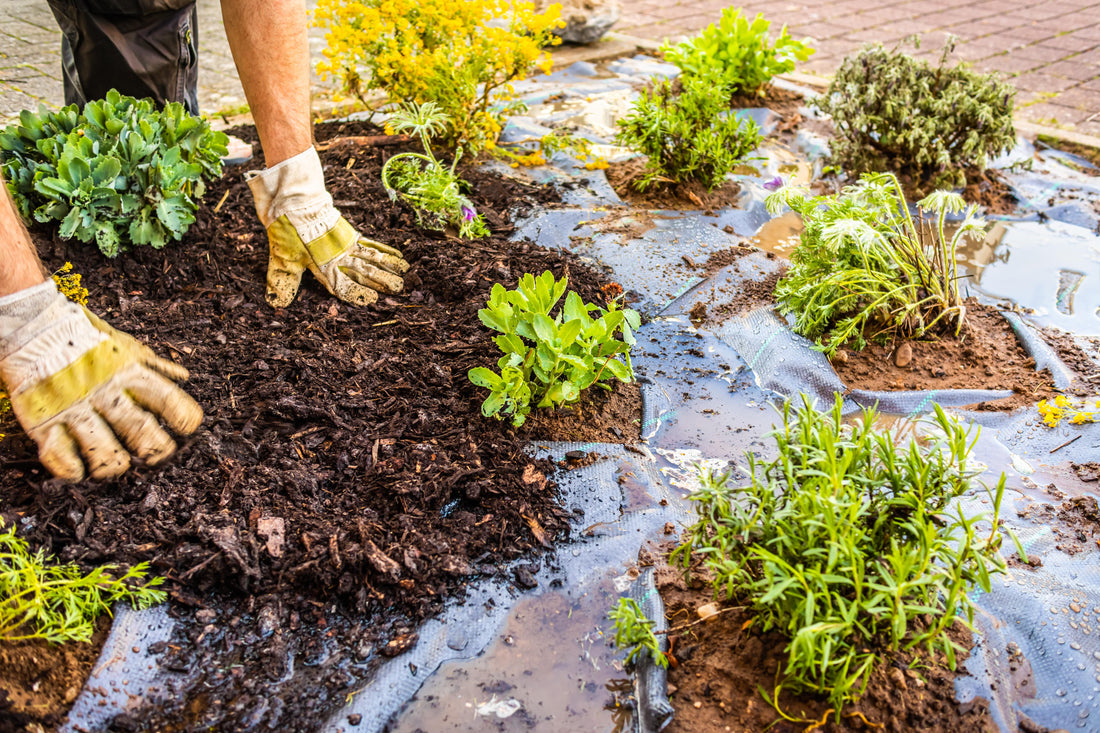 Why Weed Barrier Fabric Can Save Hours of Yard Work