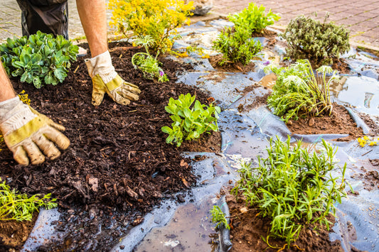 Why Weed Barrier Fabric Can Save Hours of Yard Work