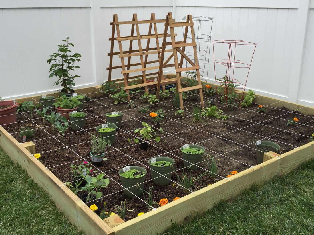 Why Raised Garden Beds Are Exploding in Popularity
