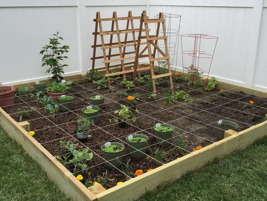 Why Raised Garden Beds Are Exploding in Popularity