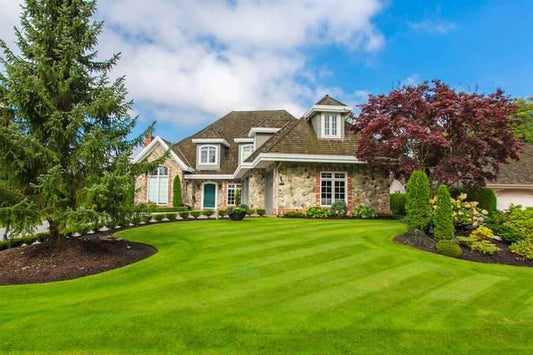 Why Homeowners Are Investing More in Lawn Appearance