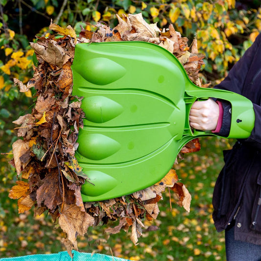 Don't Wait Until Fall to Clean Up Leaves