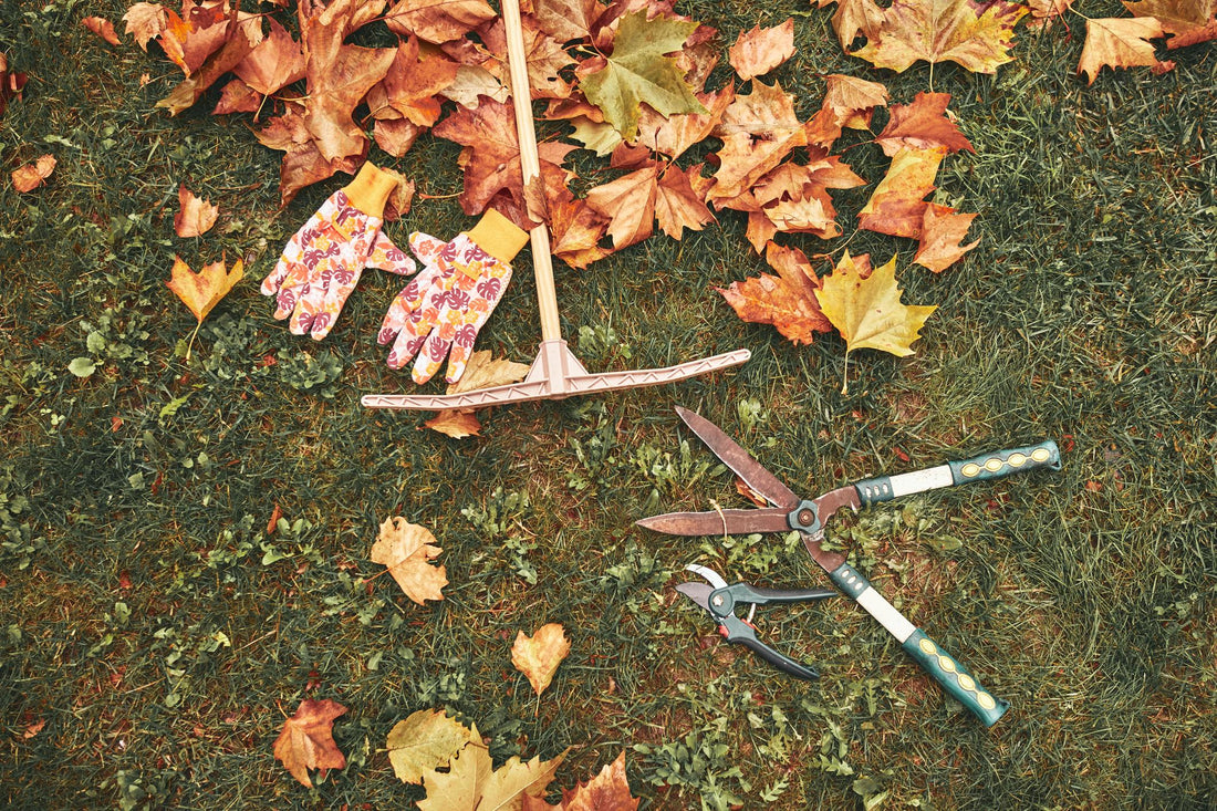 Don't Put Your Garden Tools Away Yet: 8 Tools You'll Still Need This Fall