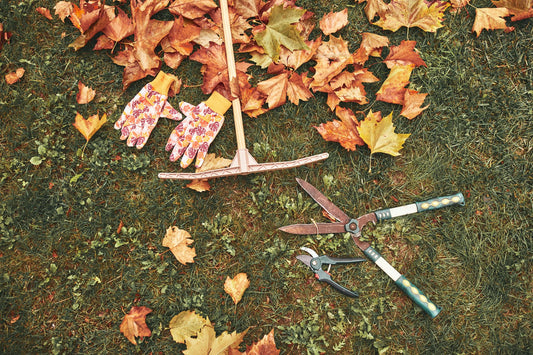 Don't Put Your Garden Tools Away Yet: 8 Tools You'll Still Need This Fall