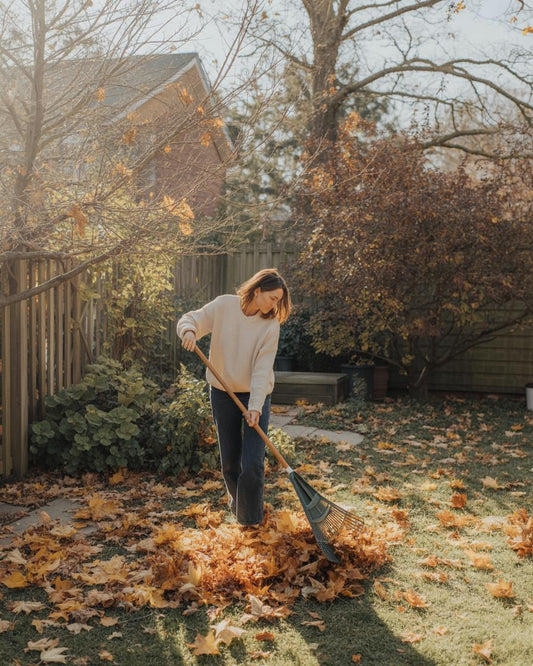 Stop Bagging Every Fall Leaf: 5 Smarter Ways to Handle Leaves in Your Yard
