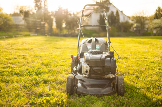 Spring Yard Cleanup Checklist: What to Fix Before Summer Hits