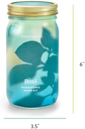 Modern Sprout Mason Garden Jar-Self-Watering Hydroponics Kit-Basil+Rosemary