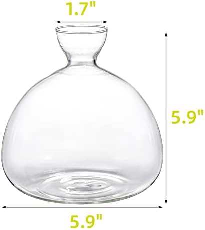 Hiceeden Avocado Seed Starter Vase Planter, Clear Avocado Tree Growing Kit Pot, Medium Avocado Vase Grow Glass Plant Pot Gift for Indoor Outdoor
