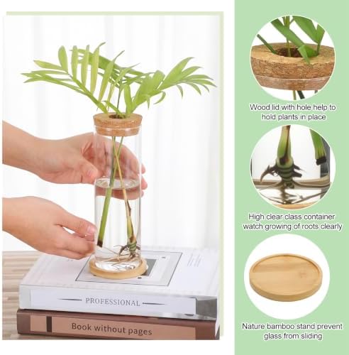 Honeydak 6 Pcs Plants Propagation Stations with Wooden Lid and Bamboo Stand