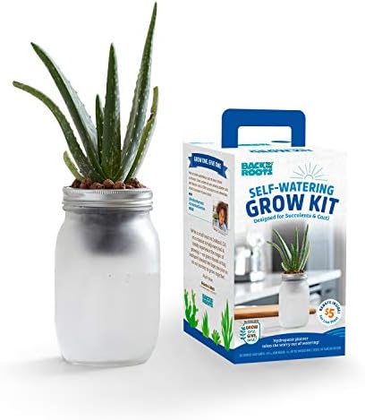 Back to the Roots Self Watering Grow Kit - Glass Hydroponic Planters for Succulents and Cacti Self-Watering System