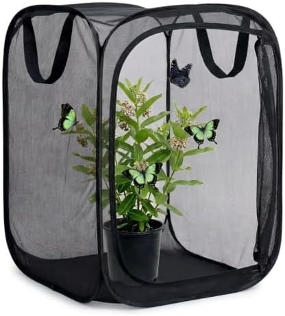 Insect & Butterfly Habitat Cage, Portable Pop-Up Terrarium with Mesh Sides, Bug Catching & Observation Enclosure for Caterpillars, Small Insects, Outdoor & Classroom Use, 16 Inches Tall