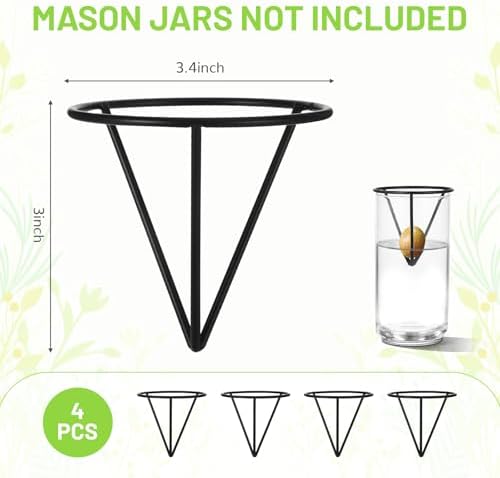 4Pcs Avocado Seed Starter vase Holders That can be Used as Propagation Kits for Plant Propagation vases, not only for Avocados but Also for Other Similar Plants (Carrots, Sweet Potatoes, etc)
