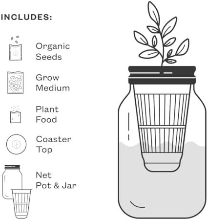 Modern Sprout Mason Garden Jar-Self-Watering Hydroponics Kit-Basil+Rosemary