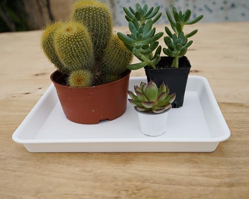 VUWEZ 2 Pack Plant Growing Nursery 1020 Trays, Heavy Sturdy Seed Starting Saucer, No Holes Starter Tray for Indoors (22"x11.2", Creamy White)