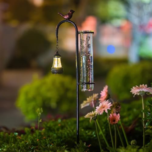 Hummingbird Rain Gauge Outdoor, Solar Rain Gauge