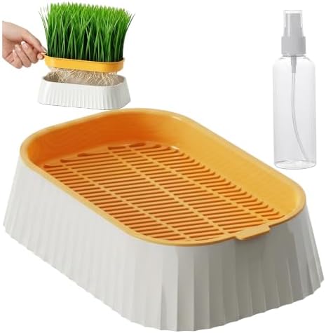 Organic Cat Grass Planter Indoor Hydroponic Wheatgrass Seed Sprout Tray