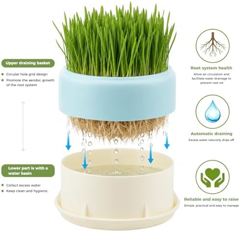 Hydroponic Cat Grass Planter, Plastic Catnip Cat Grass Box 5.31"x2.56", Soil-Free Anti-Digging Planting Trays, Wheatgrass Growing Pot for Indoor Cats Pets (Blue)