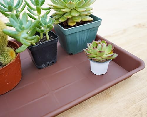 VUWEZ 4 Pack Plant Saucer Tray Rectangular, Plant Saucers for Indoors, Heavy Sturdy Plastic Plant Drainage Trays, Plant Drip Trays for Pots, Seed Starter Growing Tray (11 x 9 inch, Chocolate)