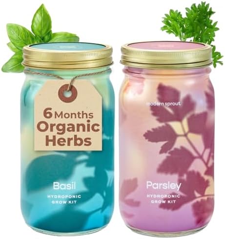 Modern Sprout Mason Garden Jar-Self-Watering Hydroponics Kit-Basil+Parsley