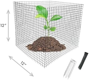 6 New Small Wire Plant Protectors, 12" Square, 12" high (Vinyl Coated Rust Resistant Wire)