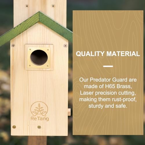 Solid Brass Bird House Hole Protector, Predator Guard Plate, 1 Pack