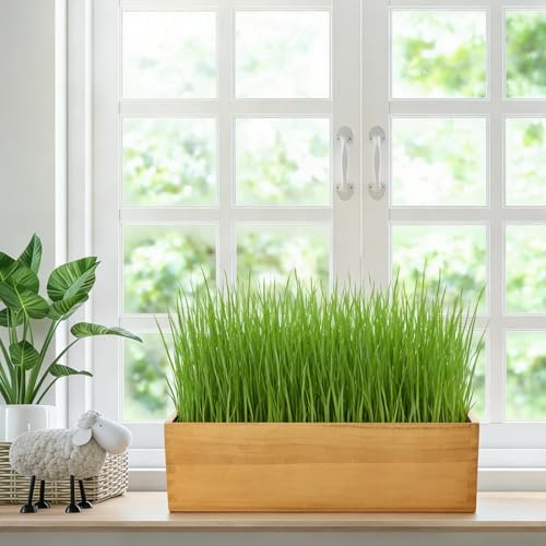 Wooden Cat Grass Planter (no Seeds Included) Anti Digging Design，with Anti-Digging Grid, Potting Soil Disks,Watering Bottle and Removable Plastic Liner,Cat Grass Kit for Indoor Cats Rabbits Pets