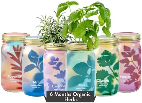 Modern Sprout Mason Jar Grow Set 6pk - Hydroponic Indoor Herb Garden Kit