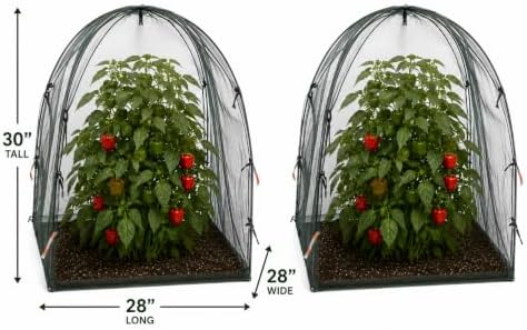 NuVue Products 25202 Pop-Up Garden Netting Animal and Bug Guard Covers with Ground Spikes, Mesh Plant Cover Tents for Pest and Animal Control, Pack of 2,Green, 28" x 28" x 30"