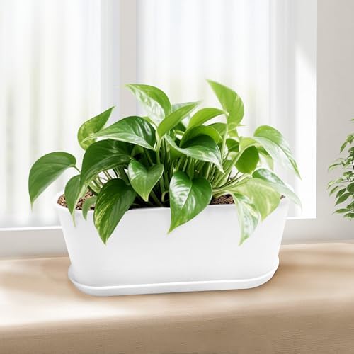 5 Set Window Herb Planter Box Rectangular,8.5x3.5 Inch White Plastic Planters with Multiple Drainage Holes and Trays,Indoor Succulent Cactus Mint Flower Pot for Windowsill,Garden Balcony