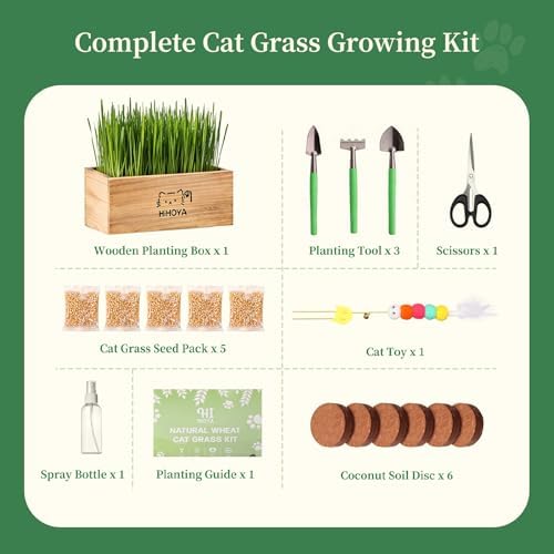 Cat Grass Kit for Indoor Cats - 5 Packets of Seeds, Cat Grass Planter Wooden Growing Kit, 5-Time Plant Starter Pack with 6 Soil Discs, Trimming Scissors, Spray Bottle, and Mini Tools