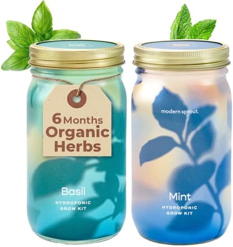 Modern Sprout Mason Garden Jar - Self-Watering Hydroponics Kit - Basil+Mint