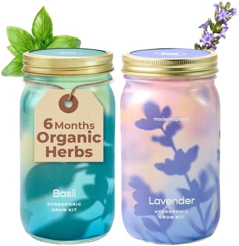 Modern Sprout Mason Garden Jar-Self-Watering Hydroponics Kit-Basil+Lavender