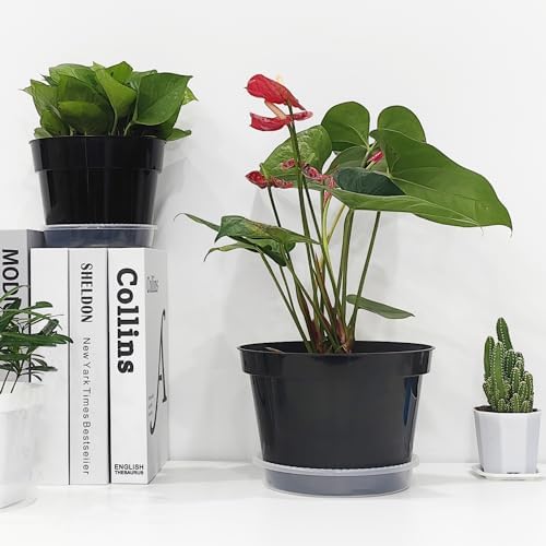 RooTrimmer 12 Pack Plant Pots, 8 Inch Plant Planter with Clear Saucer, Plastic Pots for Plants Indoor and Out Door Such as Strawberry, Herb and Flowers (Black)