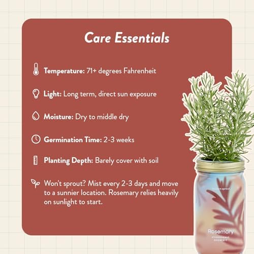 Modern Sprout Mason Garden Jar - Self-Watering Hydroponics Kit - Rosemary