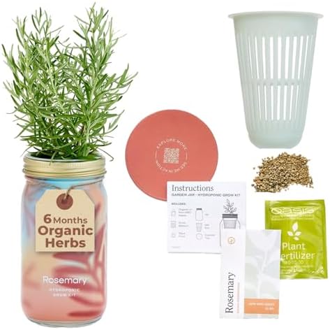 Modern Sprout Mason Garden Jar - Self-Watering Hydroponics Kit - Rosemary