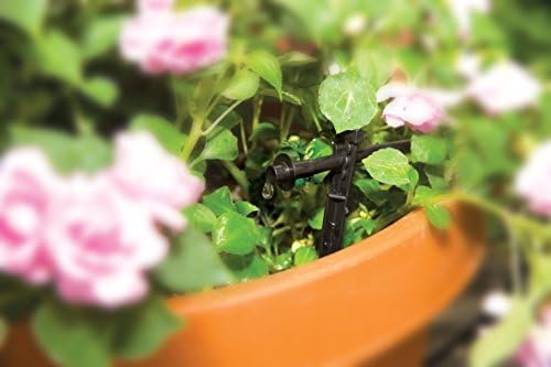 Rain Bird PATIOKIT Drip Irrigation Kit, 1/4"