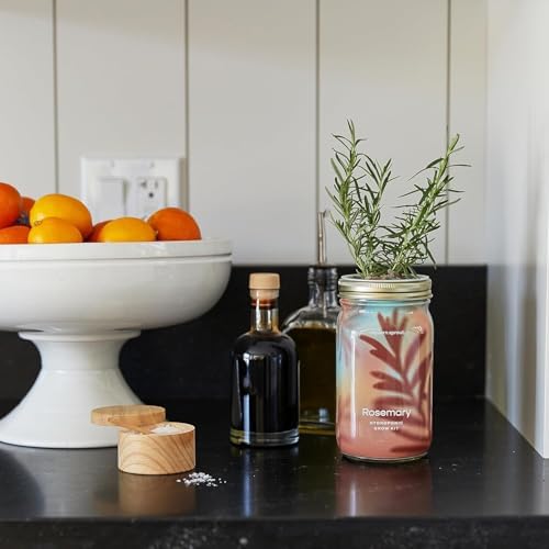 Modern Sprout Mason Garden Jar-Self-Watering Kit - Lavender+Rosemary