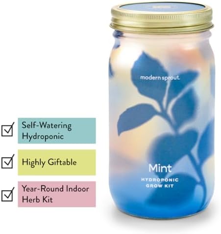 Modern Sprout Mason Garden Jar - Self-Watering Hydroponics Kit - Basil+Mint