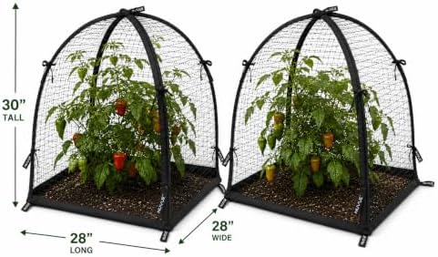 NuVue Products 32103 Pop-Up Garden Netting Pest Guard Covers with Ground Spikes, Mesh Plant Cover Tents for Pest and Animal Control, Pack of 2, Black, 36" x 36" x 38"