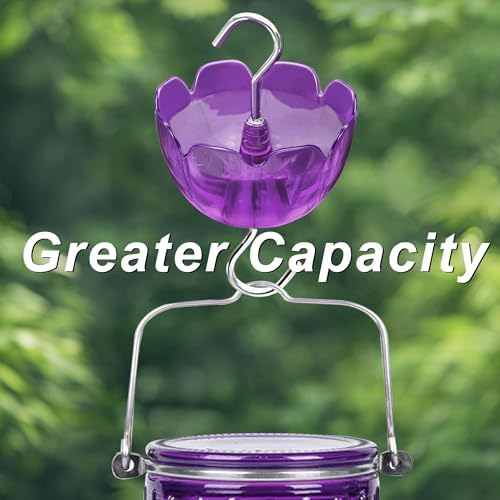 6-Pack Ant Moat for Hummingbird Feeders 4OZ