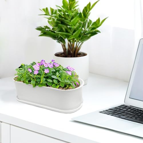 5 Set Window Herb Planter Box Rectangular,8.5x3.5 Inch White Plastic Planters with Multiple Drainage Holes and Trays,Indoor Succulent Cactus Mint Flower Pot for Windowsill,Garden Balcony