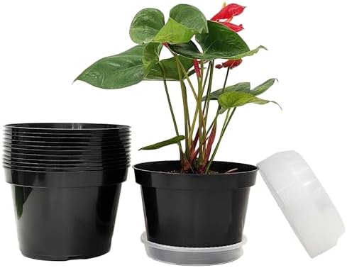 RooTrimmer 12 Pack Plant Pots, 8 Inch Plant Planter with Clear Saucer, Plastic Pots for Plants Indoor and Out Door Such as Strawberry, Herb and Flowers (Black)