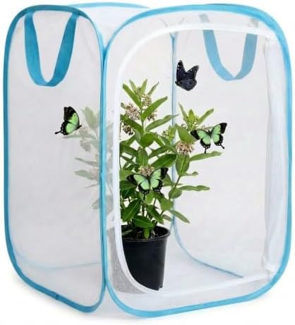 Insect & Butterfly Habitat Cage, Portable Pop-Up Terrarium with Mesh Sides, Bug Catching & Observation Enclosure for Caterpillars, Small Insects, Outdoor & Classroom Use, 16 Inches Tall