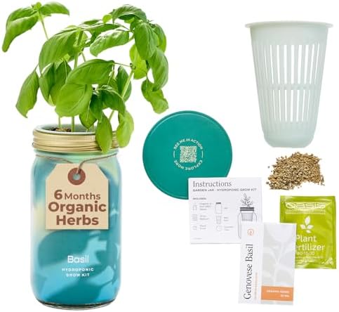 Modern Sprout Mason Garden Jar - Self-Watering Hydroponics Kit - Basil