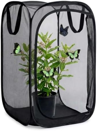 Insect & Butterfly Habitat Cage, Portable Pop-Up Terrarium with Mesh Sides, Bug Catching & Observation Enclosure for Caterpillars, Small Insects, Outdoor & Classroom Use, 24 Inches Tall