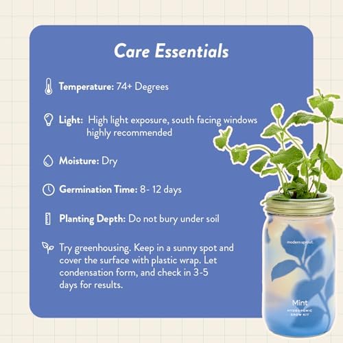 Modern Sprout Mason Garden Jar - Self-Watering Hydroponics Kit - Mint