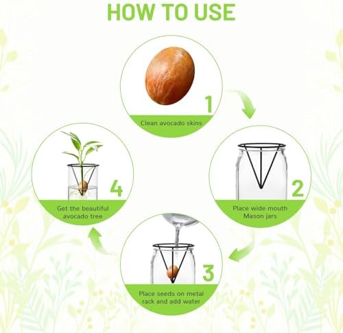 4Pcs Avocado Seed Starter vase Holders That can be Used as Propagation Kits for Plant Propagation vases, not only for Avocados but Also for Other Similar Plants (Carrots, Sweet Potatoes, etc)