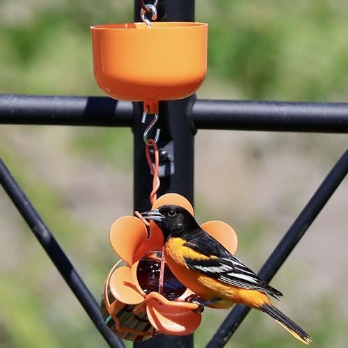 Songbird Essentials Nectar Protector Junior Bird Feeder Protection - Orange