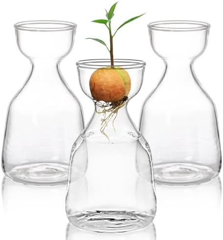 Hiceeden 3 Pack Avocado Seed Starter Vase for Growing, Glass Acorn Tree Growing Kit Vase, Small Avocado Tree Plant Pot Seed Planter, Flower Bud Vases Gift for Gardening Lovers