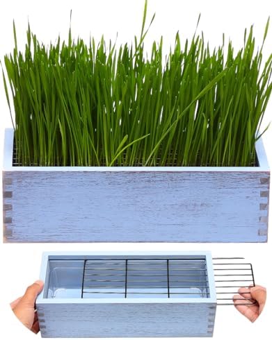 Wooden Cat Grass Planter (no Seeds Included) Anti Digging Design